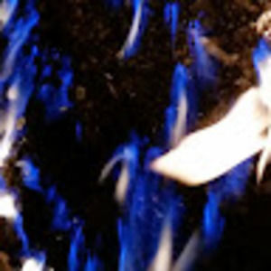 Meet your Posher, Loreta